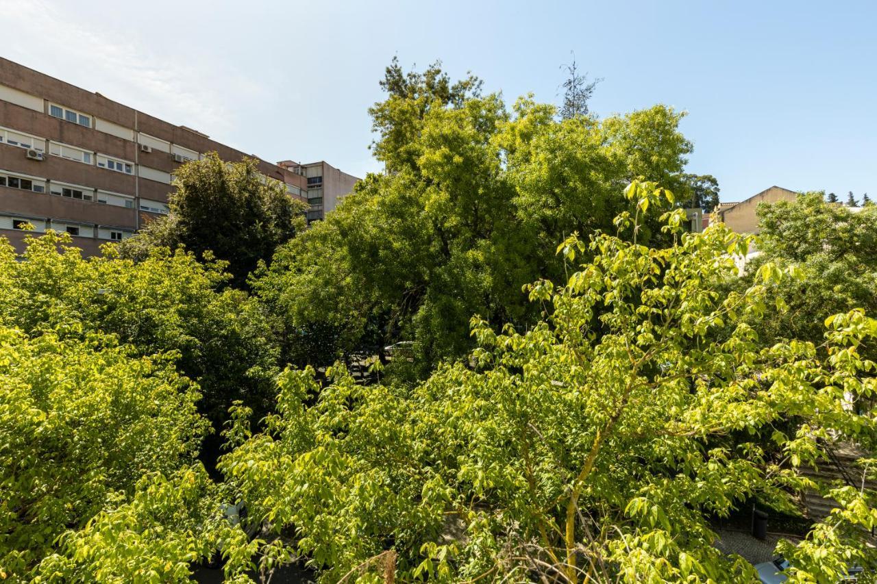 Comfy 3 Bedroom Apartment Campo De Ourique Lisbon Exterior photo